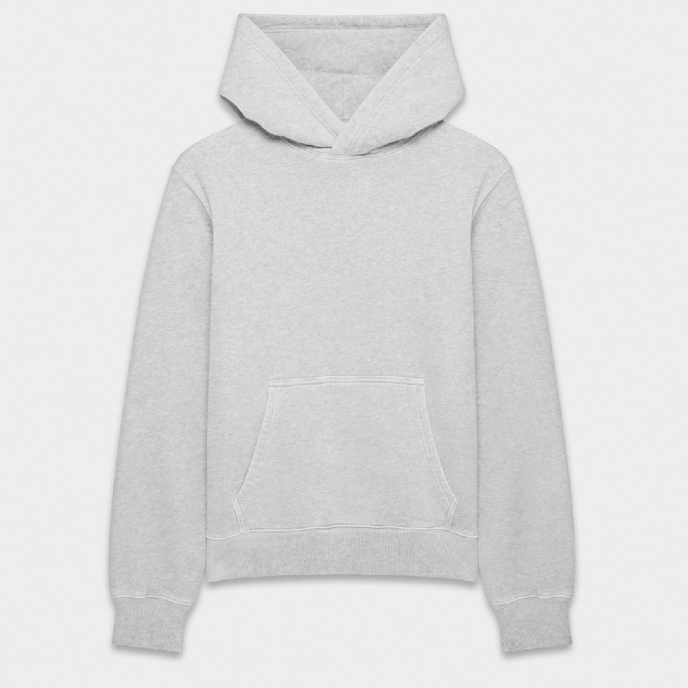 Aritzia Gray Hoodie